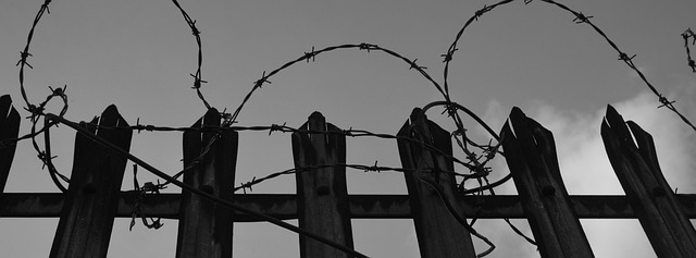 barbed-wire-539806_640